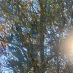 583605908_1324748496115015_832630114310592361_n