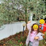 Η ελιά του τόπου μας – Μαθαίνουμε από τη φύση και την παράδοση