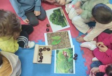 574023984_1311928237397041_6166434898185791687_n