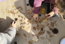 573957875_1311925050730693_2712051837937647582_n