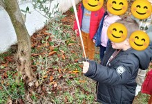 583782324_1324748929448305_1339799997390595104_n