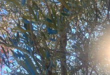 583605908_1324748496115015_832630114310592361_n