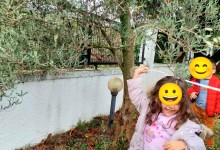 583790670_1324748169448381_5263955297232282501_n