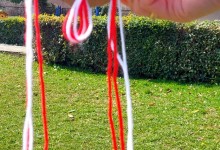 646121304_1410455800877617_5232254401147208504_n