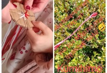 645976573_1410455080877689_688252823792186295_n