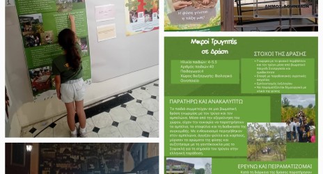 Ημερίδα Υπαίθριες Τάξεις στο Πολιτιστικό Κέντρο Δήμου Αθηναίων Μελίνα
