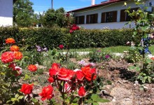 10409809_10152154898880878_803977241_n