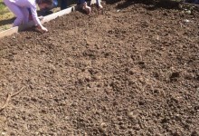 11169135_10152849659785878_575356622_n