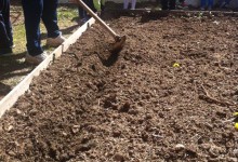 11185722_10152849657825878_387617456_n