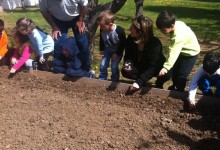 11186300_10152849657255878_563953513_n