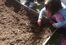 11169029_10152849658475878_1394351310_n