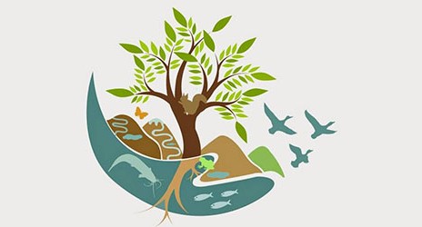 Η Ώρα της Γης στο Πράσινο Σχολείο