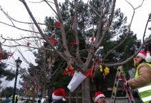 12359286_10153305252290878_1627278987_o