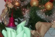 12366934_10153305252495878_1313843569_n