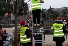 12380039_10153305252450878_49170038_n