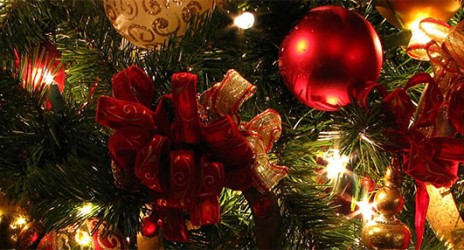 Χριστουγεννιάτικη Γιορτή 2015