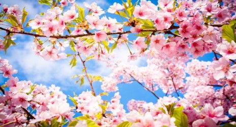 Και επισήμως Άνοιξη από την Κυριακή