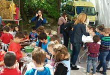 13072158_10208332700867030_1369298329_o