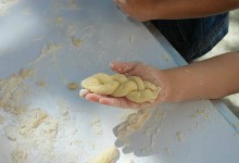 13078069_10208332695506896_1436903073_o