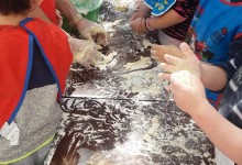 13113193_10153608796600878_519483992_o