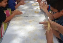 13120349_10153608796905878_1117953010_o