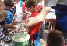 13120628_10153608797015878_1704177038_o