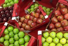 15032359_10154118800175878_1881558677_n