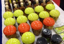 15050217_10154118800675878_1689062018_n