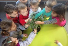 15102241_10154136451650878_482102815_o