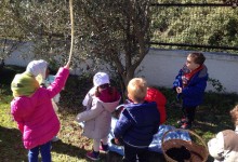 15126276_10154136446490878_1796404391_o