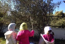 15101805_10154136446050878_1515360865_o