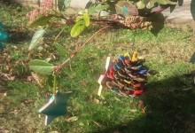 15750198_10154256064575878_1782579932_n