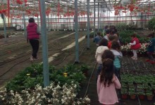 18575287_10154625336765878_282278941_o