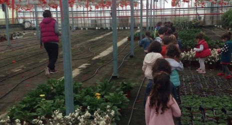 Ιστορίες Θερμοκηπίου!