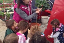 18575905_10154625342130878_1682473078_o