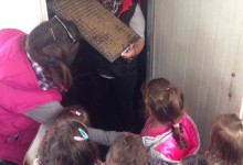 18575640_10154625342070878_572387490_o