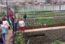 18575371_10154625336195878_409344394_o