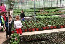 18596275_10154625333370878_192160773_o