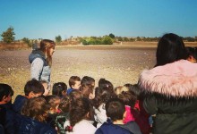 23192010_10155076572160878_351895739_o