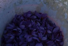 23261934_10155076572620878_586430517_o