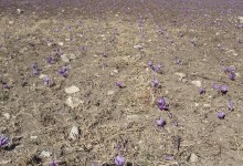 23192018_10155076572710878_33468425_o