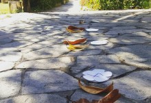 23316449_10155093023025878_3612991506554446690_n