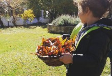 23244391_10155093023075878_8406760741718712066_n