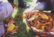 23318960_10155093022965878_3246225720840134700_n