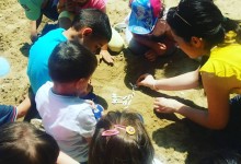 37011640_10155665169745878_2589564829345775616_n