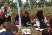 43161188_148643469421945_3250008139499569152_n