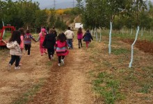 43190272_291651641439231_7449244187884519424_n