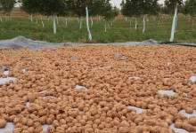 43192720_349903112220254_1736584929950564352_n