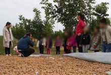 43284914_865907100280495_3255640374927949824_n