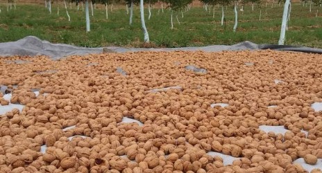 Έναρξη του εκπαιδευτικού προγράμματος «Η Φύση είναι η κουλτούρα μας»